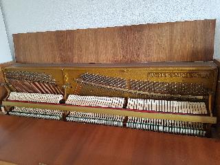 BS-Anzeigen Anzeigenscript #1479