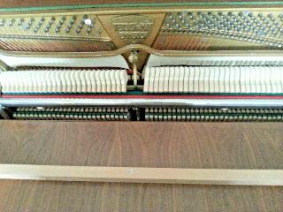 BS-Anzeigen Anzeigenscript #1499