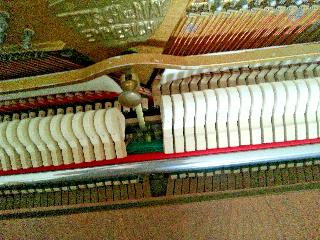 BS-Anzeigen Anzeigenscript #1499