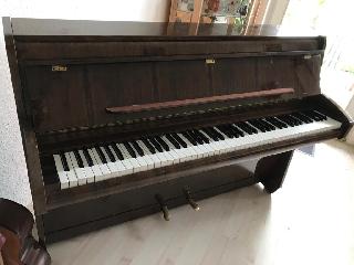 BS-Anzeigen Anzeigenscript #1500