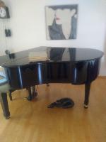 BS-Anzeigen Anzeigenscript #1507