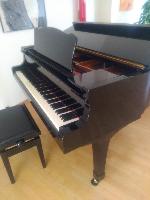 BS-Anzeigen Anzeigenscript #1507