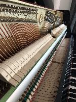 BS-Anzeigen Anzeigenscript #1518