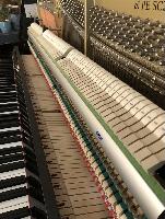 BS-Anzeigen Anzeigenscript #1518