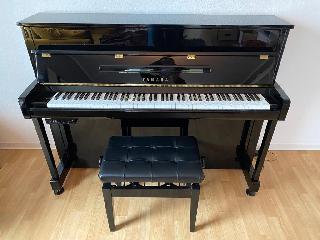 BS-Anzeigen Anzeigenscript #1519