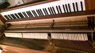 BS-Anzeigen Anzeigenscript #1526