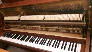 BS-Anzeigen Anzeigenscript #1526