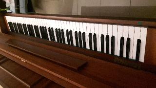 BS-Anzeigen Anzeigenscript #1526