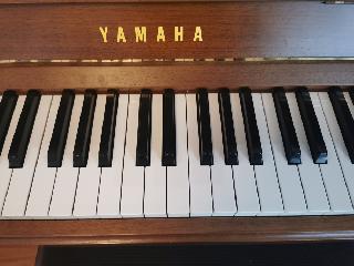 BS-Anzeigen Anzeigenscript #1527