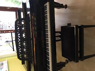 BS-Anzeigen Anzeigenscript #1528