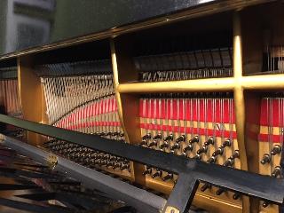 BS-Anzeigen Anzeigenscript #1528