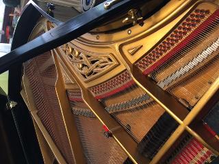 BS-Anzeigen Anzeigenscript #1528