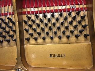 BS-Anzeigen Anzeigenscript #1528