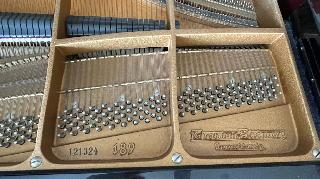 BS-Anzeigen Anzeigenscript #1532