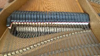 BS-Anzeigen Anzeigenscript #1532