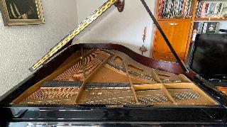 BS-Anzeigen Anzeigenscript #1532