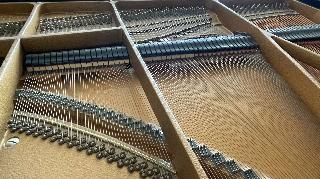 BS-Anzeigen Anzeigenscript #1532