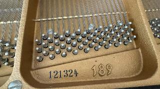 BS-Anzeigen Anzeigenscript #1532