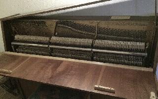 BS-Anzeigen Anzeigenscript #1562