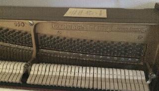 BS-Anzeigen Anzeigenscript #1562