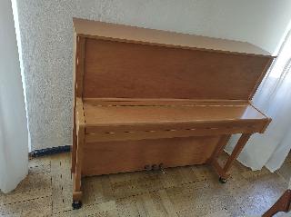 BS-Anzeigen Anzeigenscript #1570