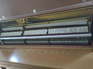 BS-Anzeigen Anzeigenscript #1570