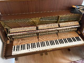 BS-Anzeigen Anzeigenscript #1579