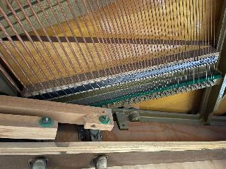 BS-Anzeigen Anzeigenscript #1579