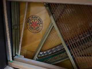 BS-Anzeigen Anzeigenscript #1579