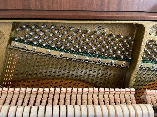 BS-Anzeigen Anzeigenscript #1579