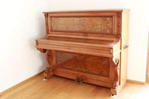 BS-Anzeigen Anzeigenscript #1580