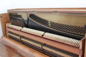 BS-Anzeigen Anzeigenscript #1580