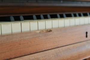 BS-Anzeigen Anzeigenscript #1580