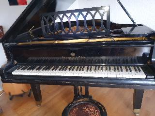 BS-Anzeigen Anzeigenscript #1584