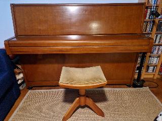 BS-Anzeigen Anzeigenscript #1645