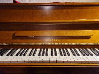 BS-Anzeigen Anzeigenscript #1645