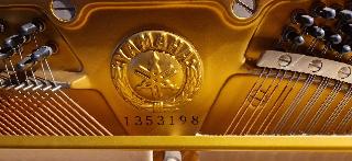 BS-Anzeigen Anzeigenscript #1645