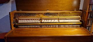 BS-Anzeigen Anzeigenscript #1645