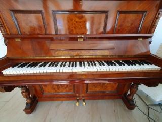 BS-Anzeigen Anzeigenscript #1646