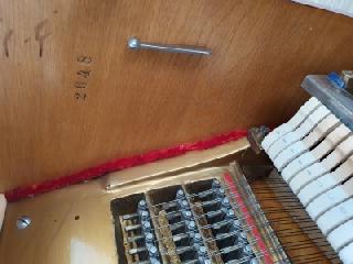 BS-Anzeigen Anzeigenscript #1646