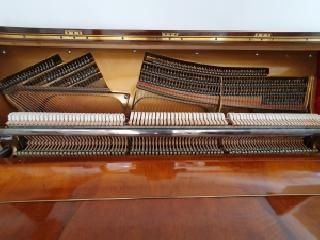 BS-Anzeigen Anzeigenscript #1646