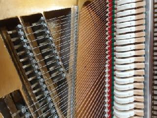 BS-Anzeigen Anzeigenscript #1646