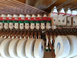 BS-Anzeigen Anzeigenscript #1646