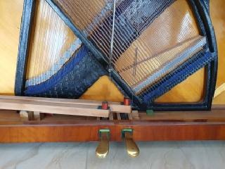 BS-Anzeigen Anzeigenscript #1646