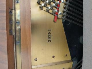 BS-Anzeigen Anzeigenscript #1685