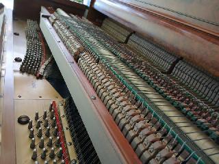 BS-Anzeigen Anzeigenscript #1685