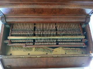 BS-Anzeigen Anzeigenscript #1685