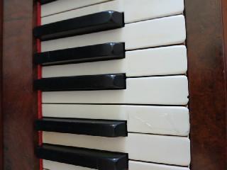 BS-Anzeigen Anzeigenscript #1685